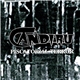 Candiru - Piscatorial Terror